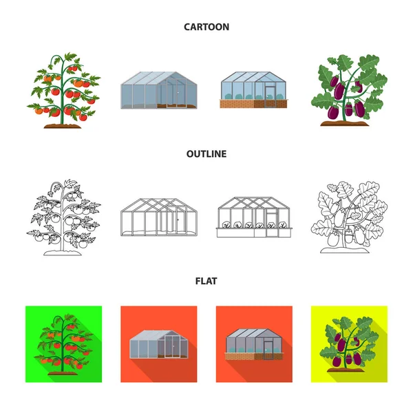 Na białym tle obiekt znak cieplarnianych i roślin. Zestaw cieplarnianych i ogród Stockowa ilustracja wektorowa. — Wektor stockowy