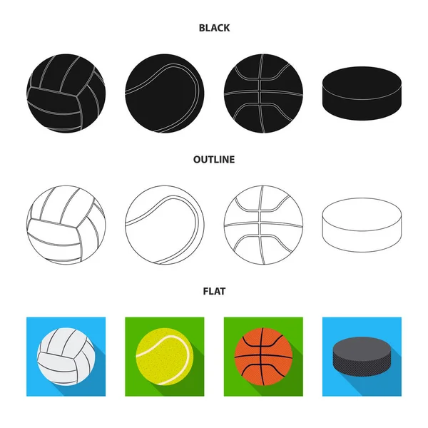 Ilustração vetorial de esporte e ícone de bola. Coleção de esporte e símbolo de estoque atlético de web . —  Vetores de Stock