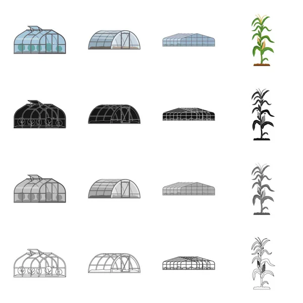 Ilustração vetorial de estufa e símbolo de planta. Conjunto de estufa e jardim estoque vetor ilustração . — Vetor de Stock