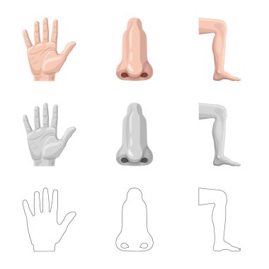 İnsan ve yarım simge vektör tasarımı. Kadın hisse senedi vektör çizim ve insan kümesi.