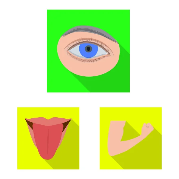 Diseño vectorial de humano y símbolo de parte. Conjunto de ilustración de vector de stock humano y femenino . — Vector de stock