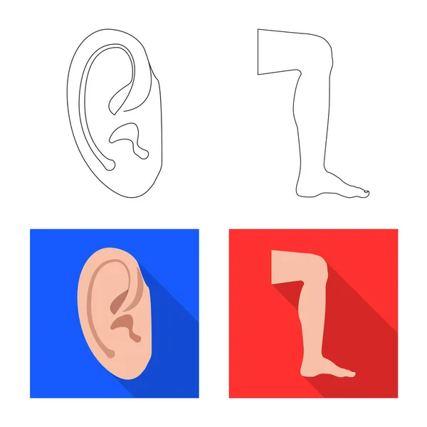 Illustrazione vettoriale dell'icona umana e parziale. Set di icone vettoriali umane e femminili per magazzino . — Vettoriale Stock