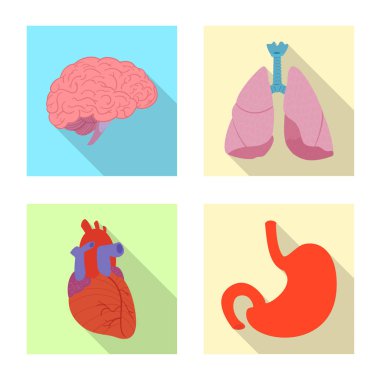 Vücut ve insan izole nesne. Vücut ve hisse senedi için tıbbi vektör ikon koleksiyonu.