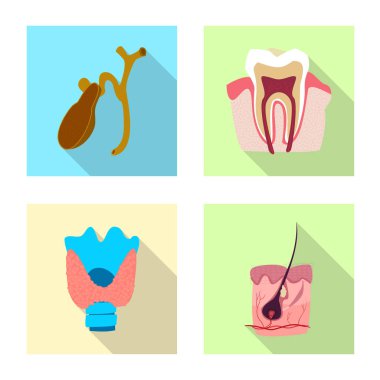 Vücut ve insan simge vektör çizimi. Vücut ve web için tıbbi hisse senedi simgesi.
