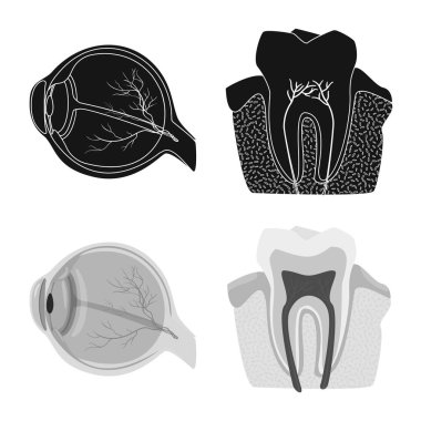 Vücut ve insan izole nesne. Vücut ve tıbbi hisse senedi vektör çizim koleksiyonu.