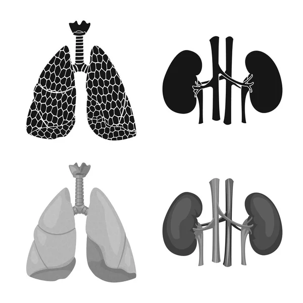 Illustration vectorielle du corps et du logo humain. Ensemble d'icône de corps et de vecteur médical pour stock . — Image vectorielle