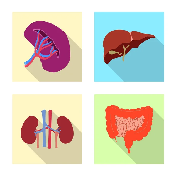 Diseño vectorial de cuerpo y símbolo humano. Conjunto de cuerpo y vector médico icono para stock . — Archivo Imágenes Vectoriales