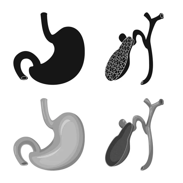 Ilustración vectorial del cuerpo y del icono humano. Conjunto de cuerpo y símbolo de stock médico para web . — Vector de stock