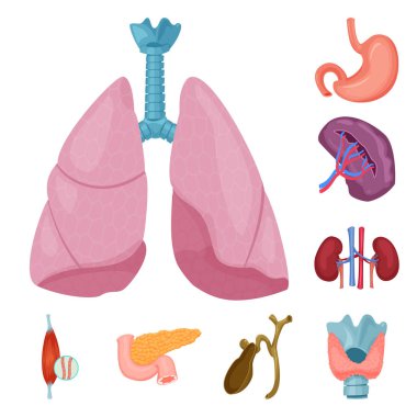 Vücut ve insan işareti yalıtılmış nesne. Vücut ve tıbbi hisse senedi vektör çizim.