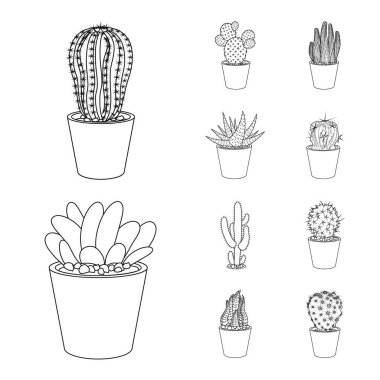 Kaktüs ve pot logo vektör tasarımı. Kaktüs ve hisse senedi için kaktüsler vektör simge kümesi.