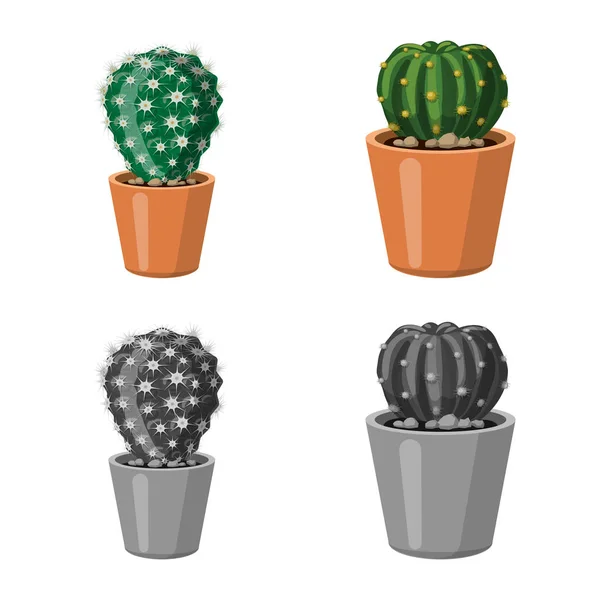 Векторная иллюстрация кактуса и логотипа горшка. Набор векторных иллюстраций кактусов и кактусов . — стоковый вектор
