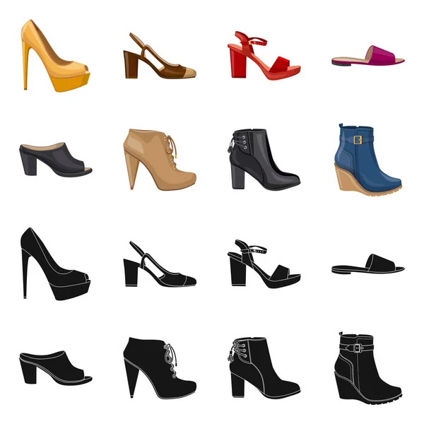 Geïsoleerde object van schoeisel en vrouw symbool. Set van schoeisel en voet voorraad vectorillustratie. — Stockvector