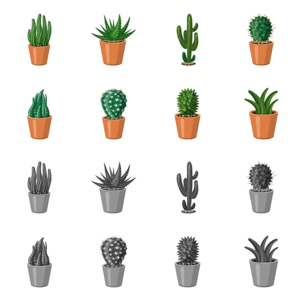 Illustrazione vettoriale di cactus e simbolo di pentola. Raccolta di icone vettoriali di cactus e cactus per stock . — Vettoriale Stock