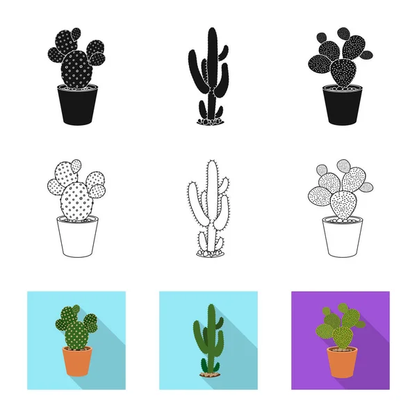 Vektor design av kaktus och potten ikonen. Uppsättning cactus och kaktusar aktiesymbol för webben. — Stock vektor