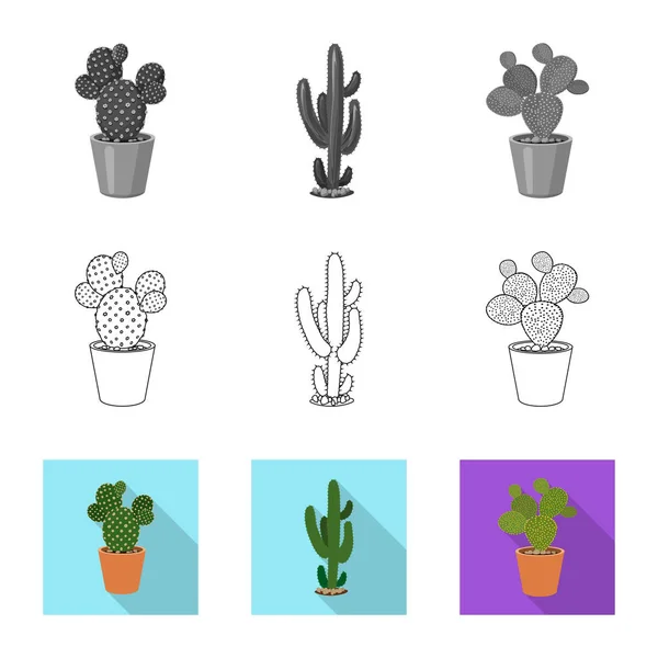 Vector ontwerp van pictogram cactus en pot. Set cactus en cactussen aandelensymbool voor web. — Stockvector