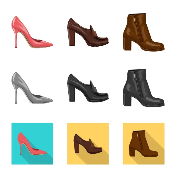 Conception vectorielle de chaussures et icône femme. Ensemble de chaussures et icône de vecteur de pied pour stock . — Image vectorielle