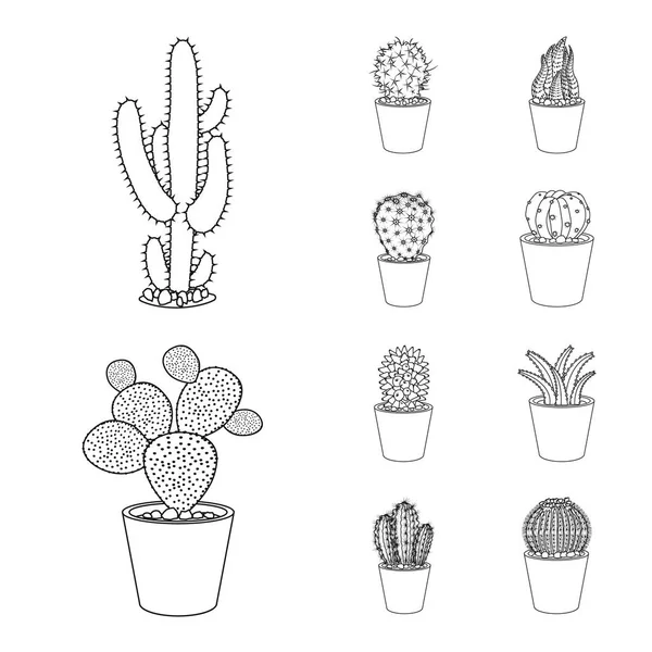 Isolerade objekt av kaktus och pot-ikonen. Samling av kaktus och kaktusar lager vektorillustration. — Stock vektor