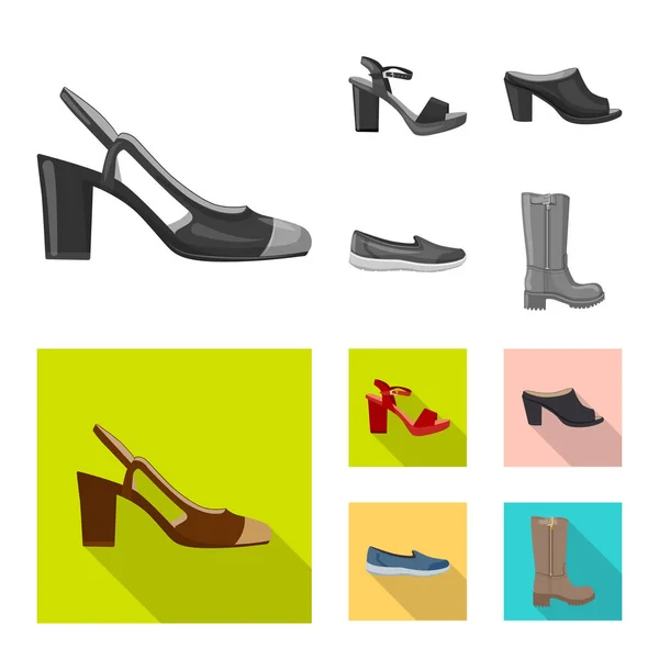 Diseño vectorial de calzado y logotipo de mujer. Set de calzado y pie vector icono para stock . — Vector de stock