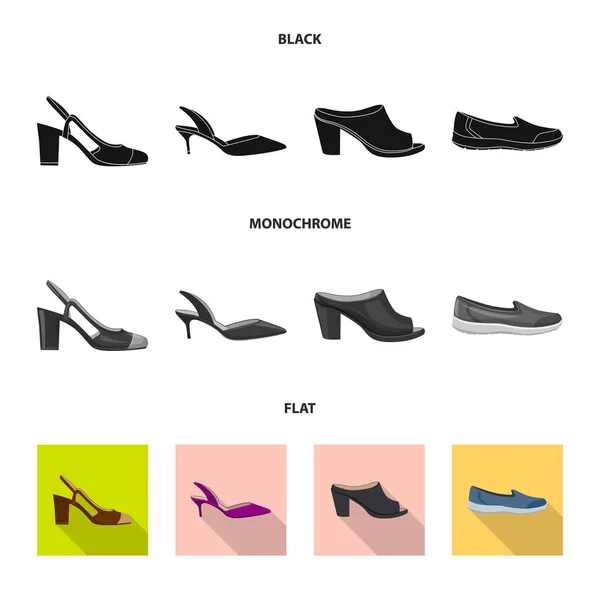 Diseño vectorial de calzado y signo de mujer. Set de calzado y pie vector icono para stock . — Vector de stock