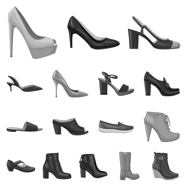 鞋子和妇女标志的被隔绝的对象。鞋类和足部股票矢量图集. — 图库矢量图片