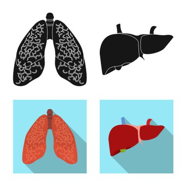 Vücut ve insan simge vektör Illustration. Vücut ve tıbbi hisse senedi vektör çizim koleksiyonu.