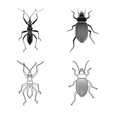 Böcek ve sinek sembolü yalıtılmış nesne. Hisse senedi için böcek ve öğe vektör simge kümesi.