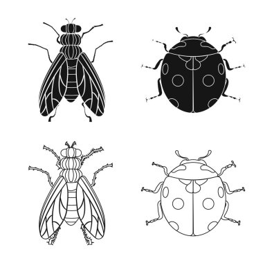 Böcek ve sinek simgesi yalıtılmış nesne. Hisse senedi için böcek ve öğe vektör simge kümesi.