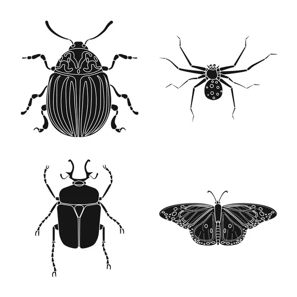 Design vettoriale del segno di insetti e mosche. Raccolta di icone vettoriali di insetti ed elementi per stock . — Vettoriale Stock