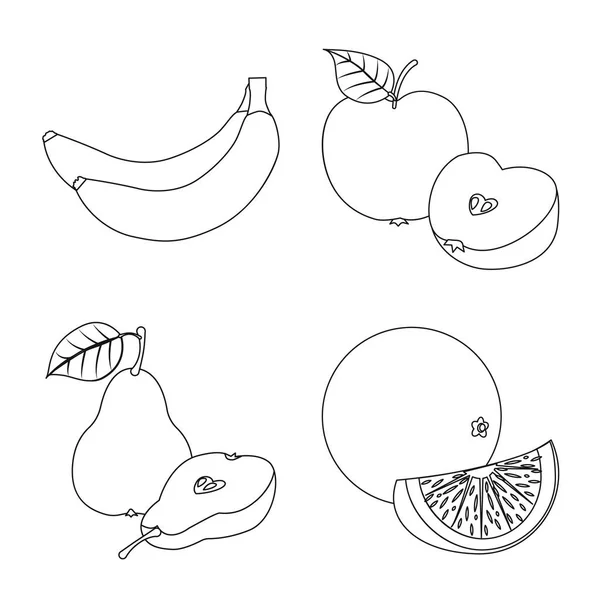 Diseño vectorial de signo vegetal y frutal. Colección de vegetales y vegetarianos símbolo de stock para la web . — Vector de stock