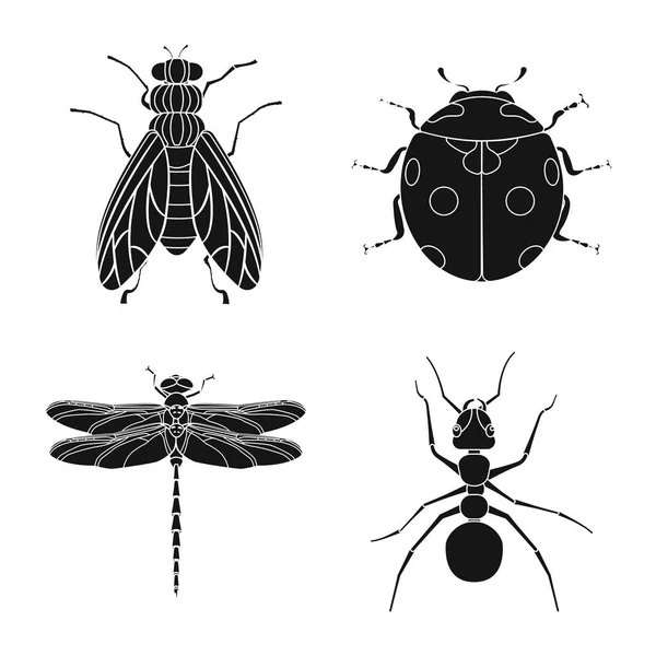 Projeto vetorial de inseto e mosca símbolo. Coleção de ilustração vetorial de estoque de insetos e elementos . — Vetor de Stock