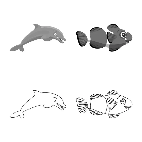 Objeto isolado do ícone do mar e do animal. Coleção de mar e símbolo de estoque marinho de web . — Vetor de Stock