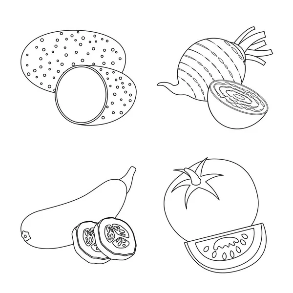 Векторный дизайн овощного и фруктового символа. Коллекция вегетарианских вегетарианских икон для инвентаря . — стоковый вектор