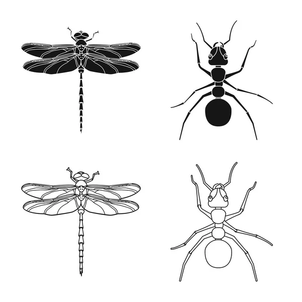 곤충 및 비행 아이콘의 고립 된 개체입니다. 곤충 및 요소 주식 벡터 일러스트 레이 션의 설정. — 스톡 벡터