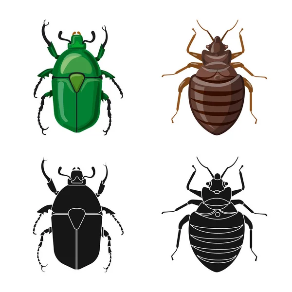 Geïsoleerde object van insecten en vliegen symbool. Collectie van insect en element voorraad vectorillustratie. — Stockvector