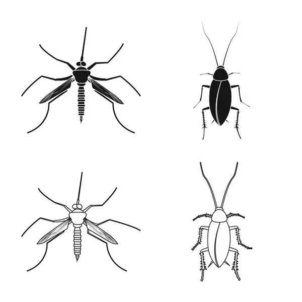 Vektorillustration Von Insekten Und Fliegenzeichen Set Von Insekten Und Elementvektorsymbolen — Stockvektor