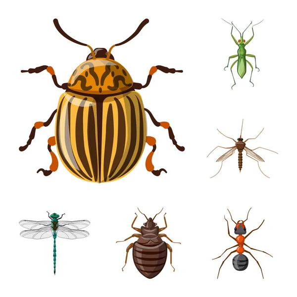 Geïsoleerde object van insecten en vliegen pictogram. Set insect en element vector pictogram voor voorraad. — Stockvector