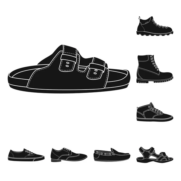 Vektor-Design von Schuhen und Schuhen. Set von Schuh-und Fußstock-Symbol für Web. — Stockvektor