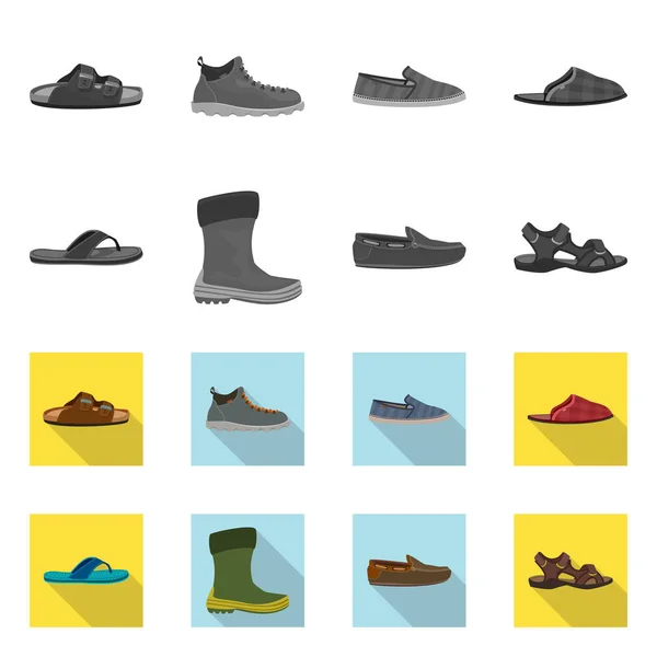 Diseño vectorial de zapato y signo de calzado. Set de zapatos y pies stock vector ilustración . — Archivo Imágenes Vectoriales