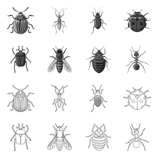 昆虫とフライのロゴのベクター デザイン。昆虫と要素の株式ベクトル図のセット. — ストックベクタ