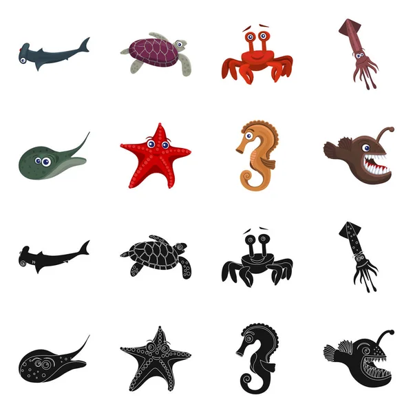 Illustration vectorielle du signe marin et animal. Ensemble d'icône vectorielle marine et marine pour stock . — Image vectorielle