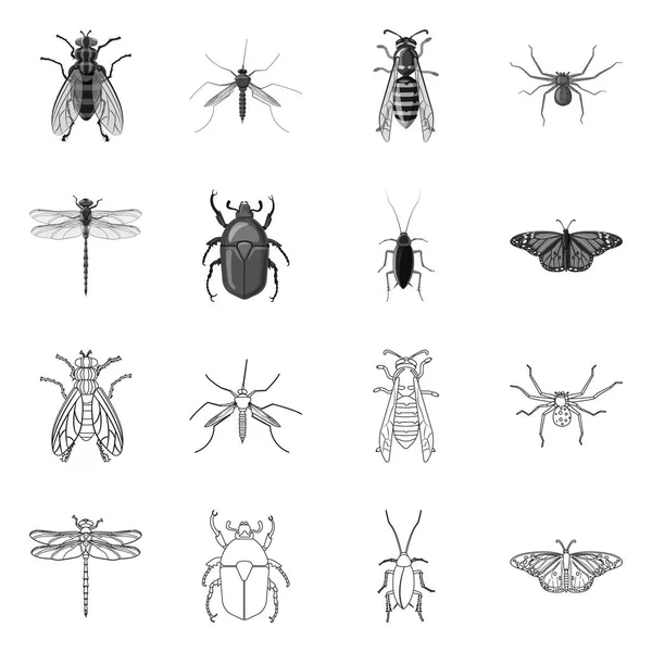 Isolated object of insect and fly icon. Set of insect and element stock vector illustration. — Stock Vector