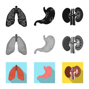 Vücut ve insan simge vektör Illustration. Vücut ve web için tıbbi hisse senedi simgesi toplama.