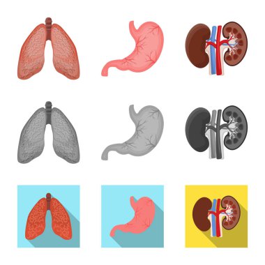 Vücut ve insan işareti vektör çizimi. Vücut ve hisse senedi için tıbbi vektör simge kümesi.