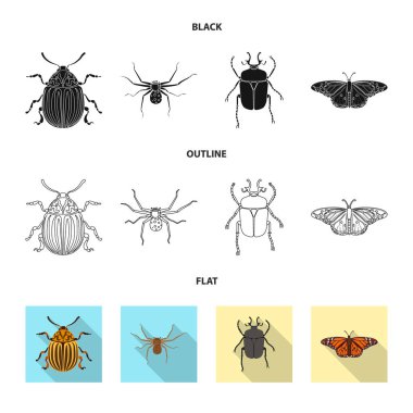 Böcek ve sinek simge vektör tasarımı. Böcek ve öğe hisse senedi vektör çizim seti.