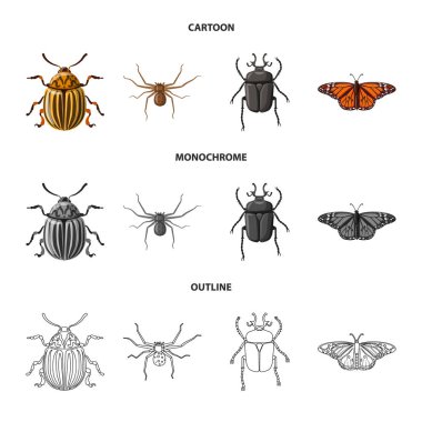 Böcek ve sinek simge vektör Illustration. Hisse senedi için böcek ve öğe vektör simge kümesi.