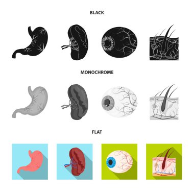 Vücut ve insan logo yalıtılmış nesne. Vücut ve web için tıbbi hisse senedi simgesi.