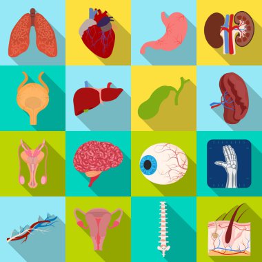 Vücut ve insan sembolü yalıtılmış nesne. Vücut ve hisse senedi için tıbbi vektör ikon koleksiyonu.