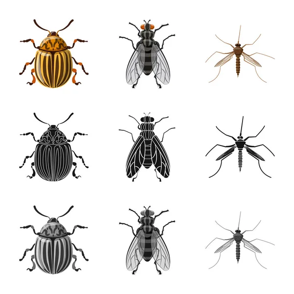 Geïsoleerde object van insecten en vliegen symbool. Collectie van insect en element aandelensymbool voor web. — Stockvector