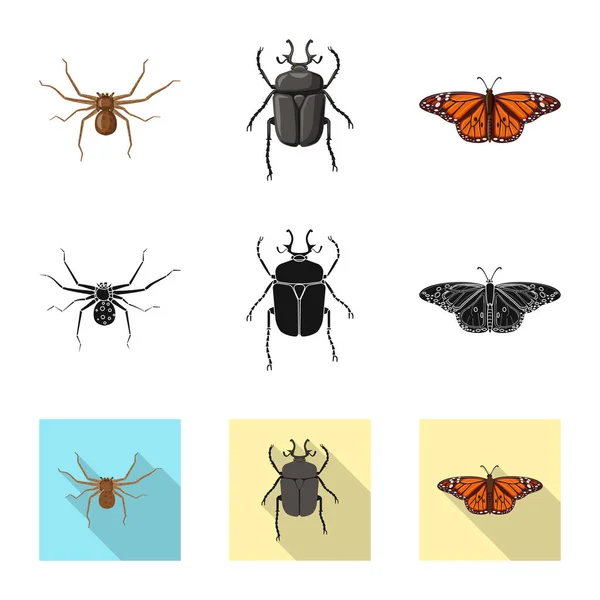 Vektordesign von Insekten- und Fliegenlogo. Sammlung von Insekten- und Elementlagersymbolen für das Netz. — Stockvektor