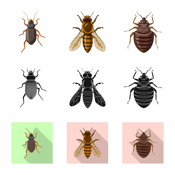 Изолированный объект с символом насекомого и мухи. Набор векторных иллюстраций насекомых и элементов . — стоковый вектор